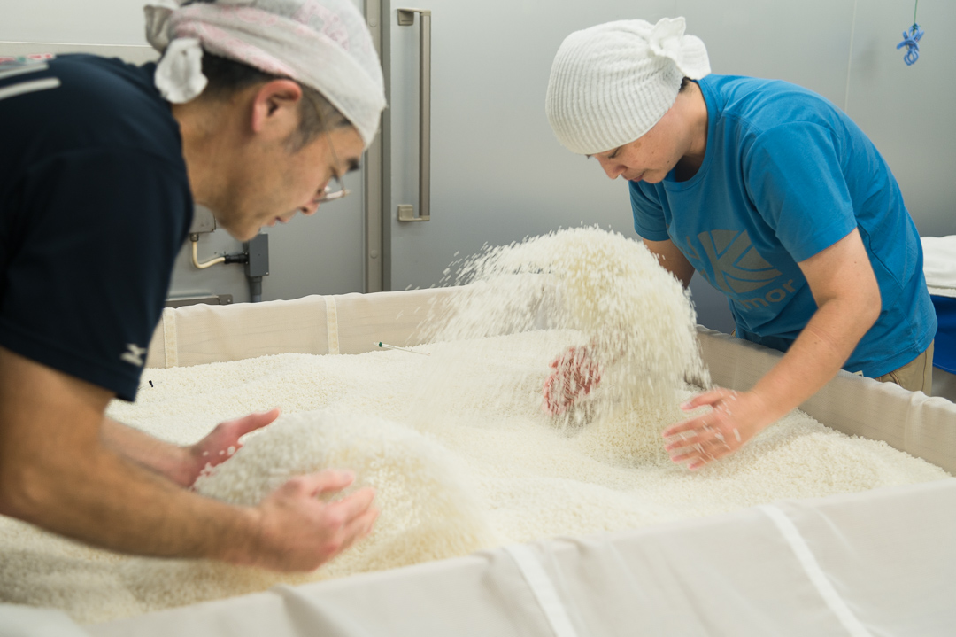 正社員募集のお知らせ