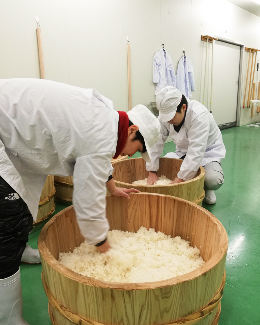 2018年醸造「車坂 きもと本醸造 熟成酒」発売